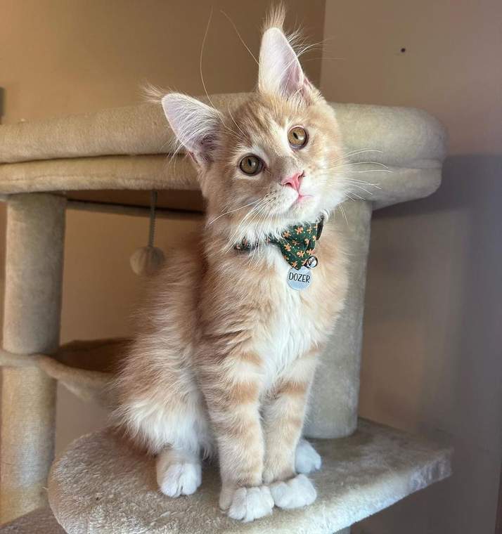 Charlie photo 3